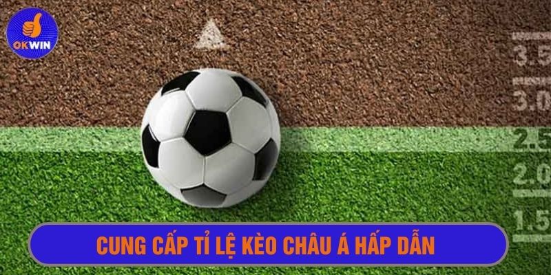 Kèo châu Á là một trong những kèo được ưa chuộng nhất tại nền tảng 