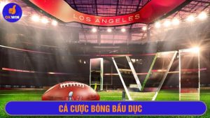 Cá cược bóng bầu dục