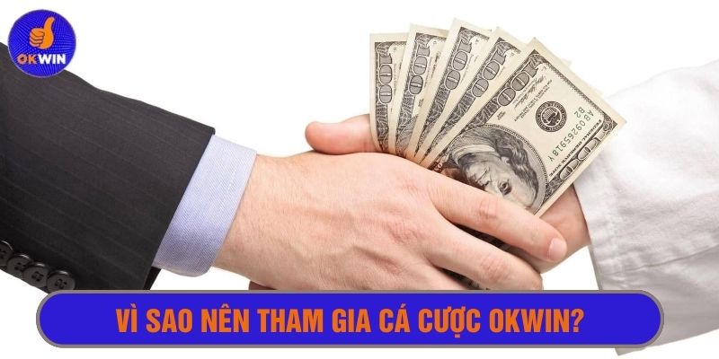 Cá cược Okwin được xem là hình thức đầu tư bền lâu