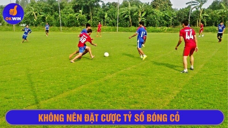 Không nên đặt cược tỷ số các trận bóng cỏ