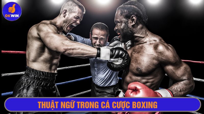 Thuật ngữ được sử dụng nhiều trong các trận đấu quyền anh 