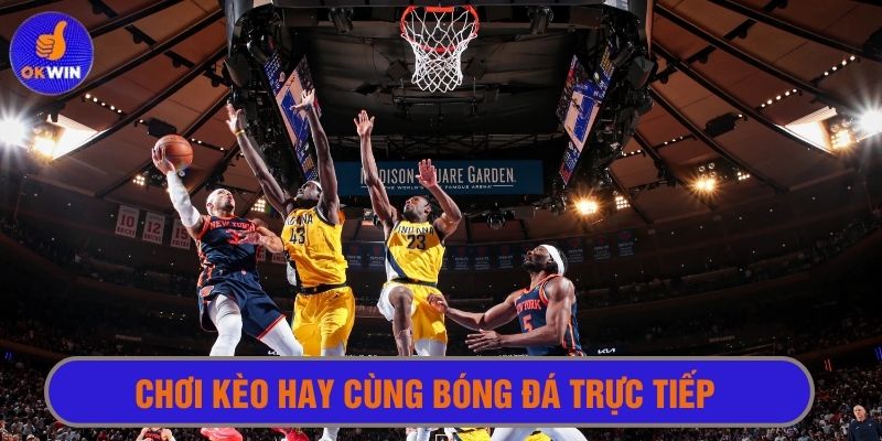 Xem trực tiếp những trận bóng rổ từ giải đấu hàng đầu